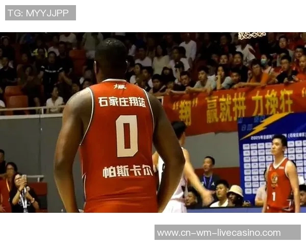 稳了广东队加强版洛夫顿加盟杜锋阵容季后赛四强指日可待