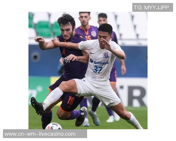 申花对阵蔚山的精彩比赛完整视频回顾与分析分享